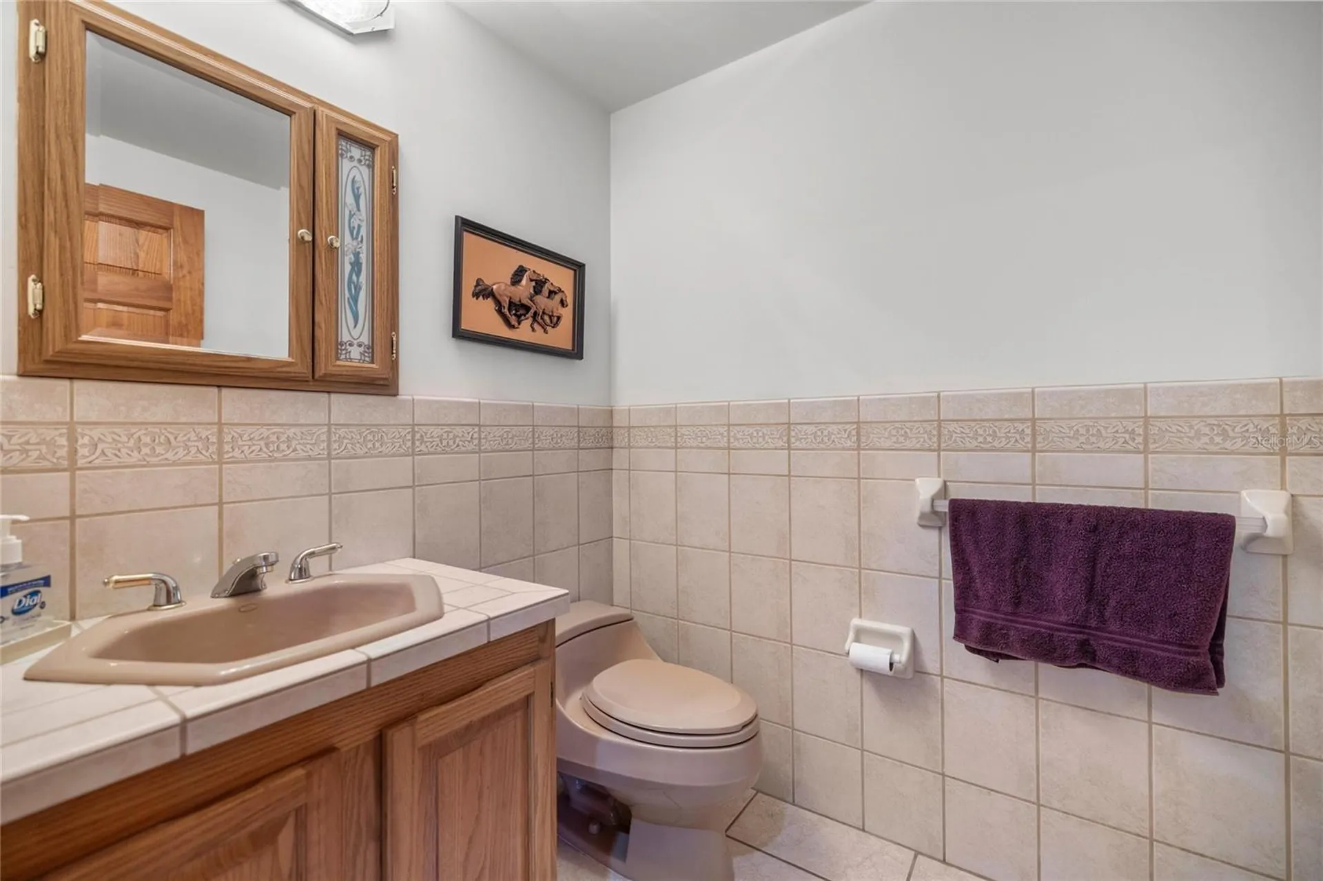 4559 W Dunklin Street Dunnellon FL 34433