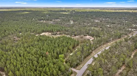 4559 W Dunklin Street Dunnellon FL 34433