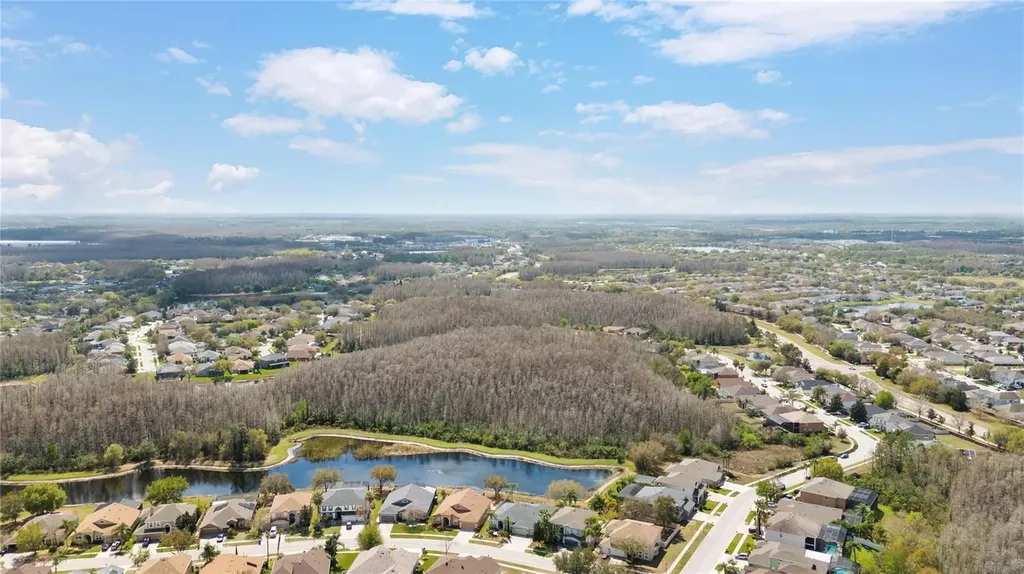 3726 Duke Firth Street Land O Lakes FL 34638
