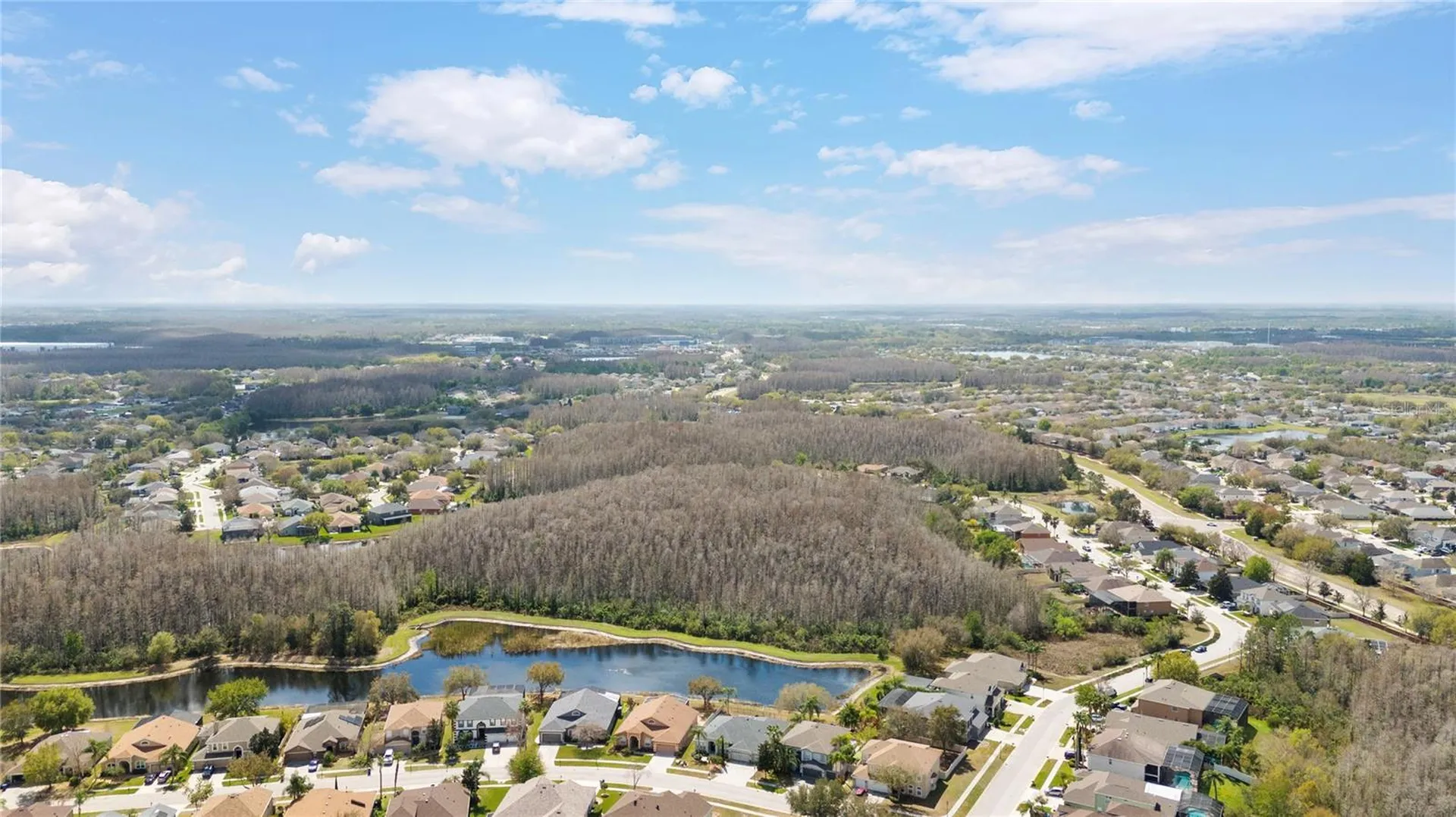 3726 Duke Firth Street Land O Lakes FL 34638