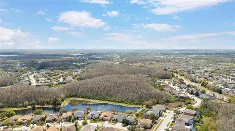 3726 Duke Firth Street Land O Lakes FL 34638