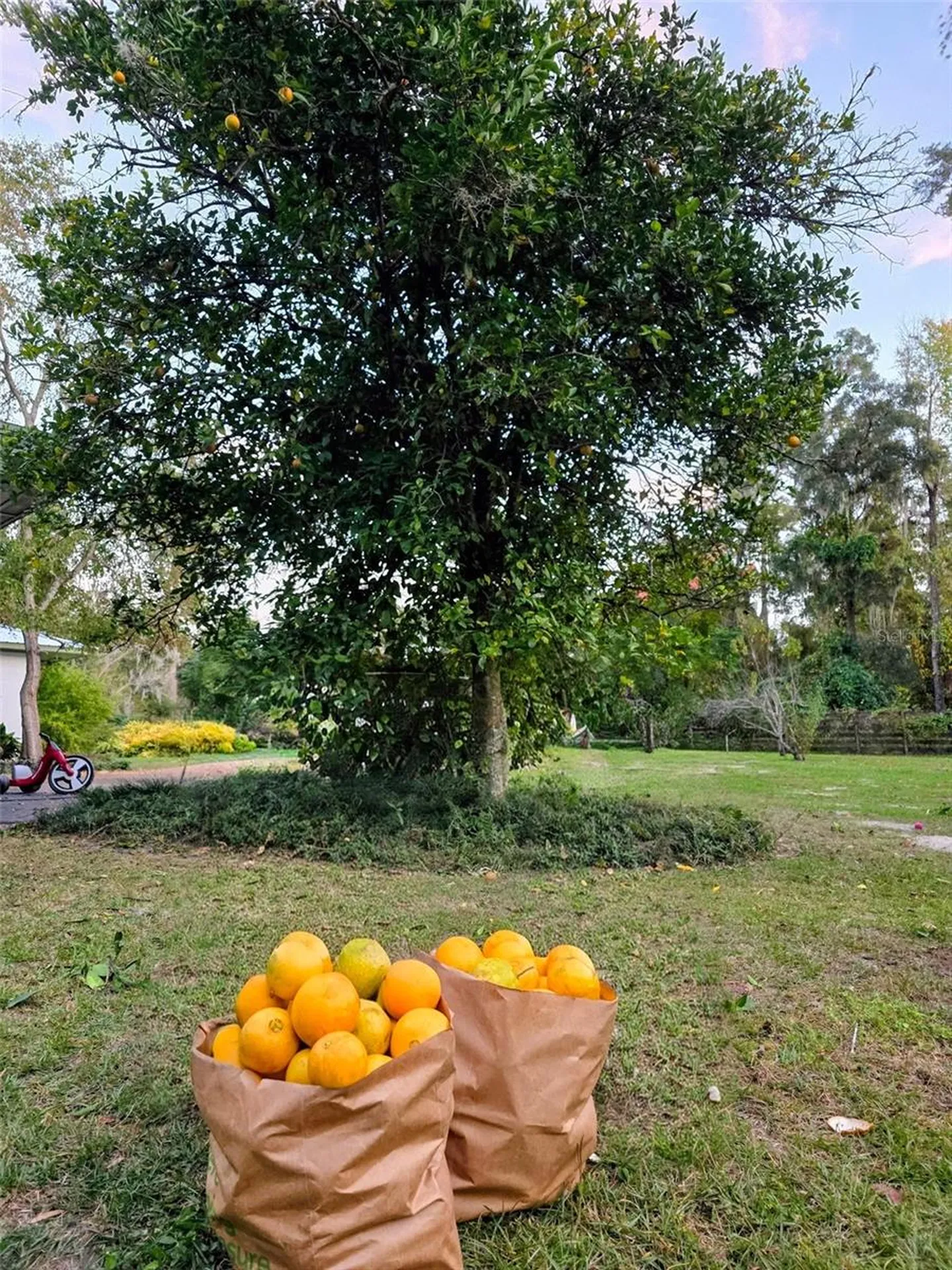 12182 SW State Road 45 Archer FL 32618