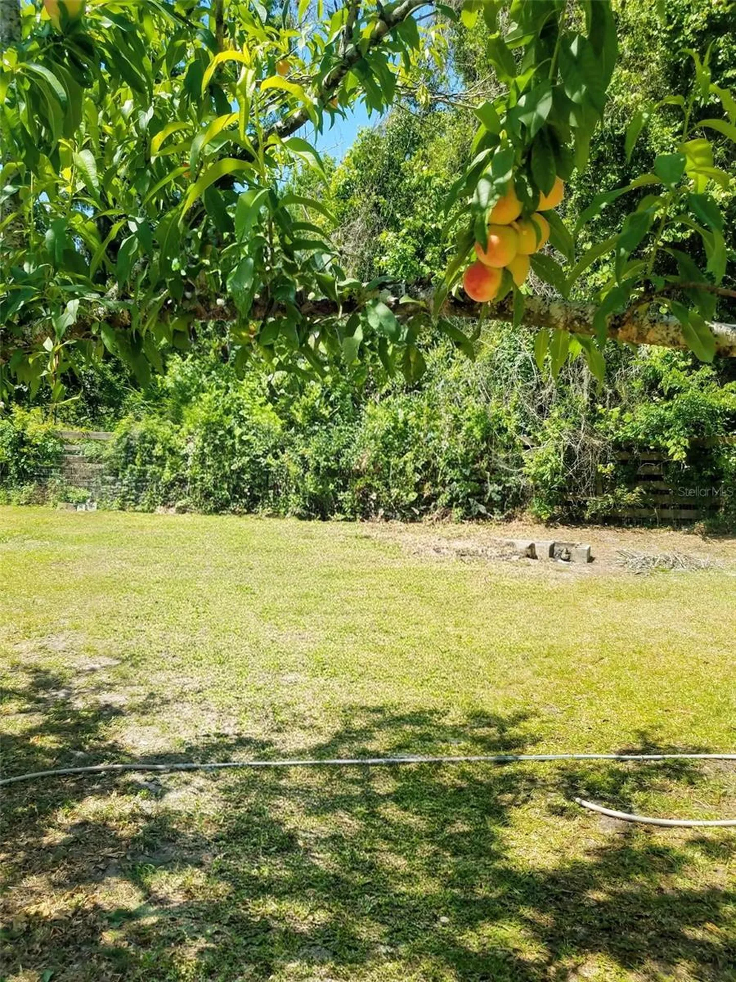 12182 SW State Road 45 Archer FL 32618
