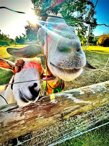 6888 Myakka Valley Trail Sarasota FL 34241