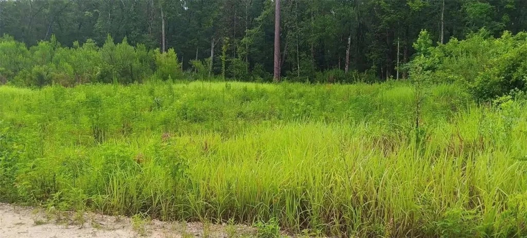 SW 18 Street Ocala FL 34481
