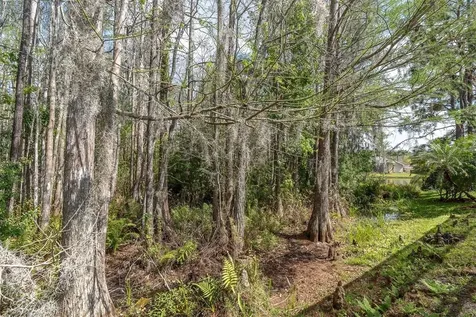 1122 Maravista Drive Trinity FL 34655