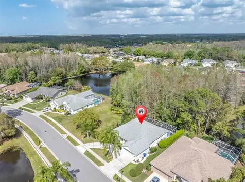 1122 Maravista Drive Trinity FL 34655
