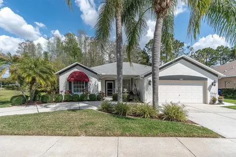 1122 Maravista Drive Trinity FL 34655