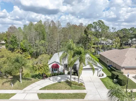 1122 Maravista Drive Trinity FL 34655