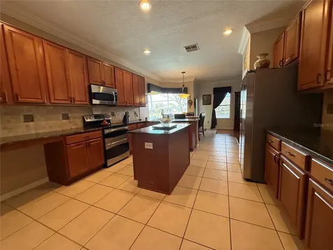 3154 Hanging Moss Circle Kissimmee FL 34741