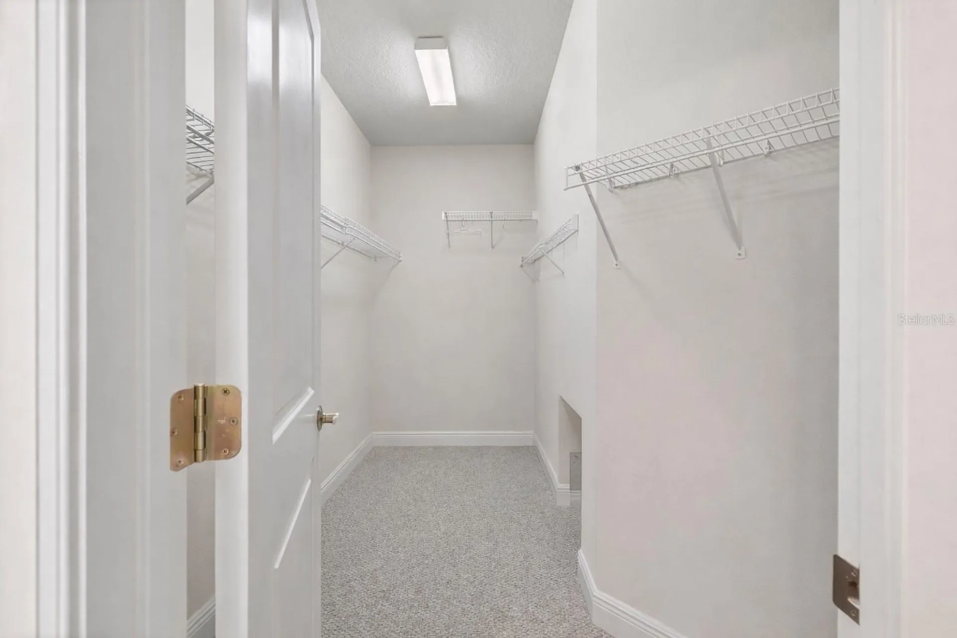 4926 Anniston Circle Tampa FL 33647