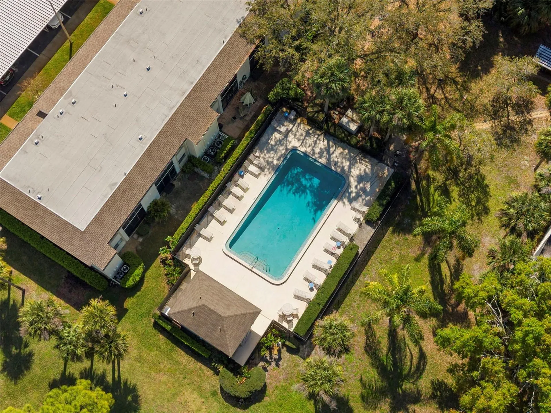 134 Cypress Court Oldsmar FL 34677