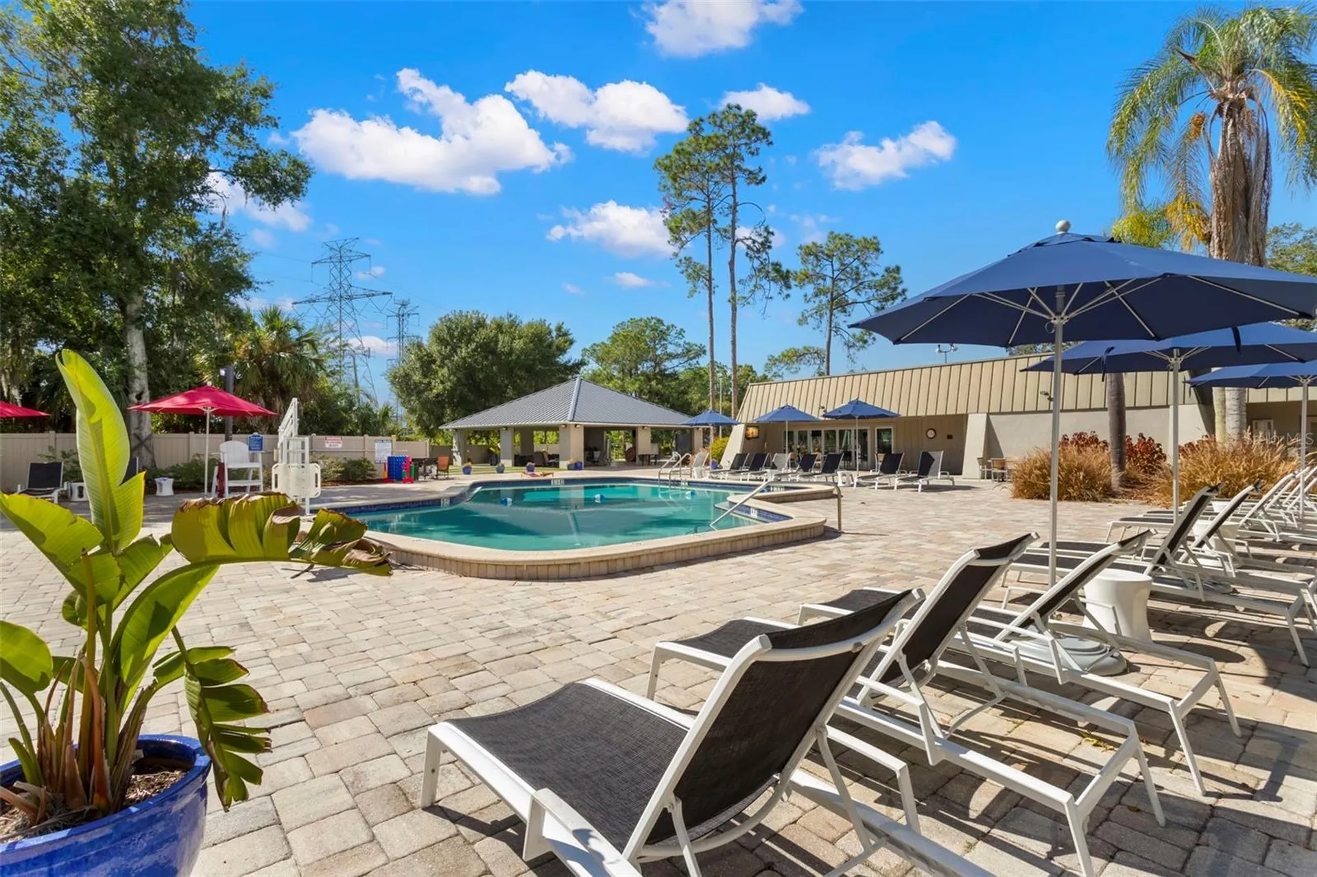 134 Cypress Court Oldsmar FL 34677