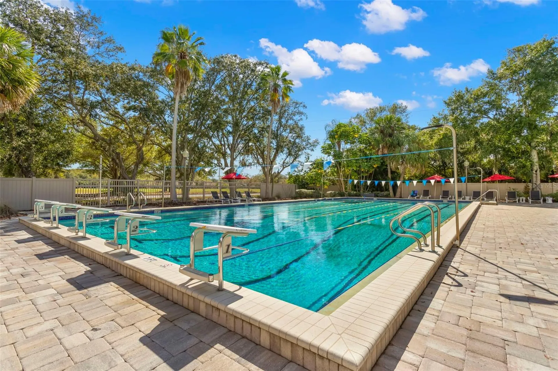134 Cypress Court Oldsmar FL 34677