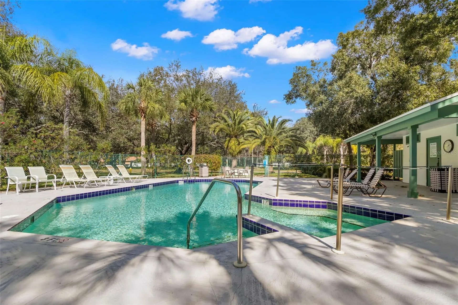 134 Cypress Court Oldsmar FL 34677