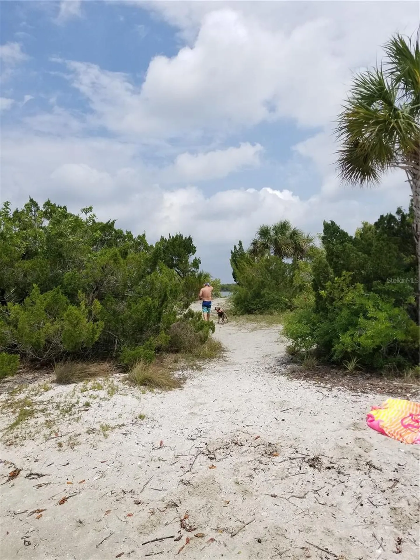 1709 Umbrella Tree Drive Edgewater FL 32132