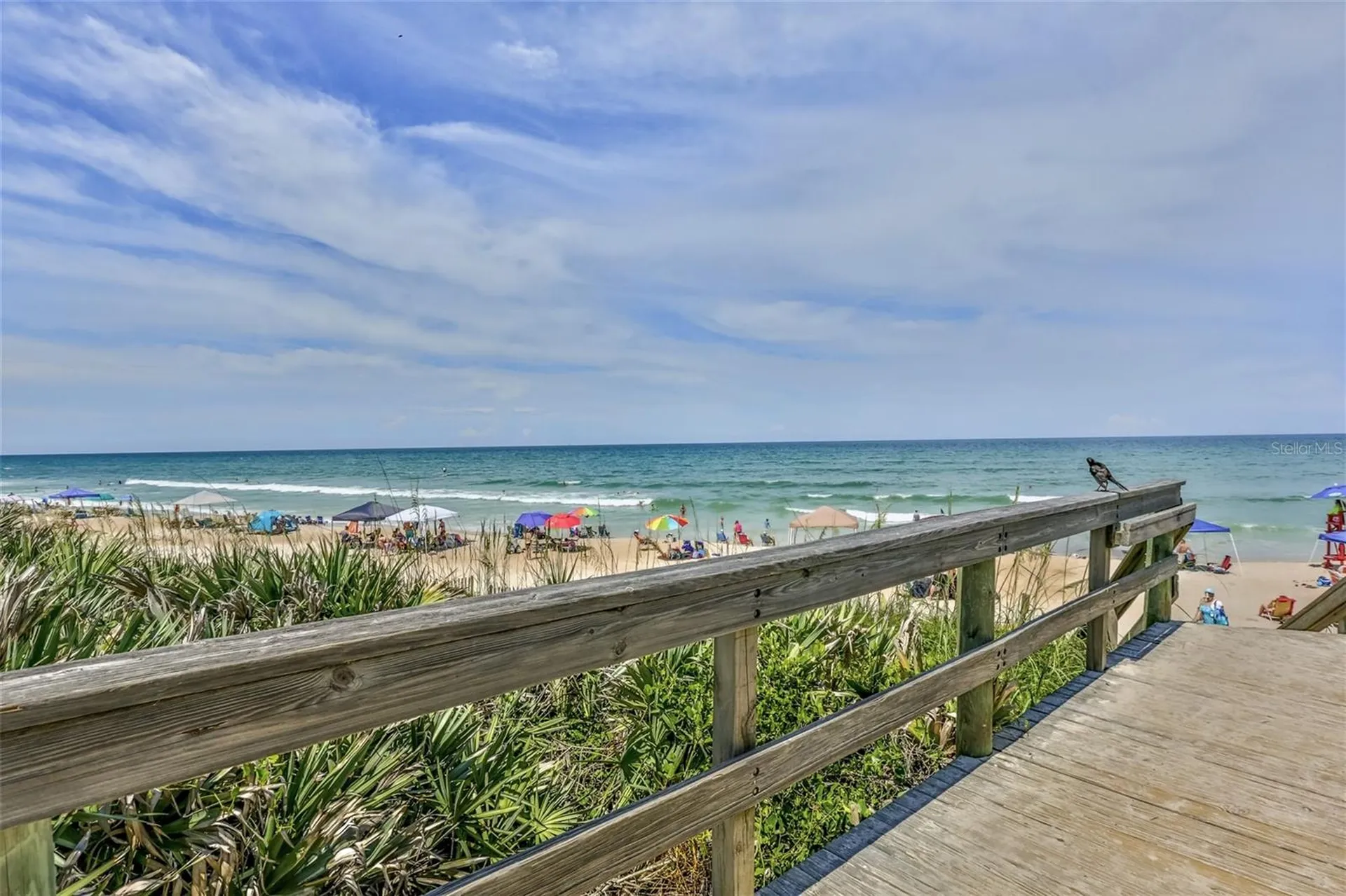 1709 Umbrella Tree Drive Edgewater FL 32132