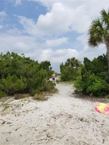 1709 Umbrella Tree Drive Edgewater FL 32132