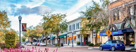 240 N Phelps Avenue Winter Park FL 32789