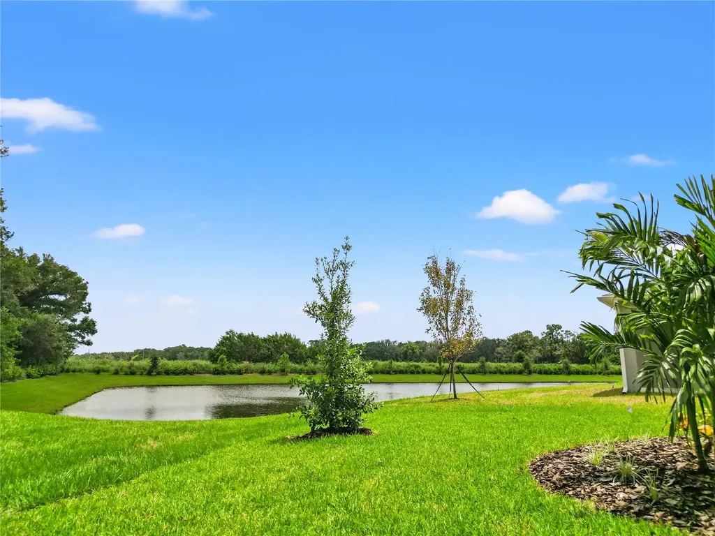 11908 Richmond Trail Parrish FL 34219