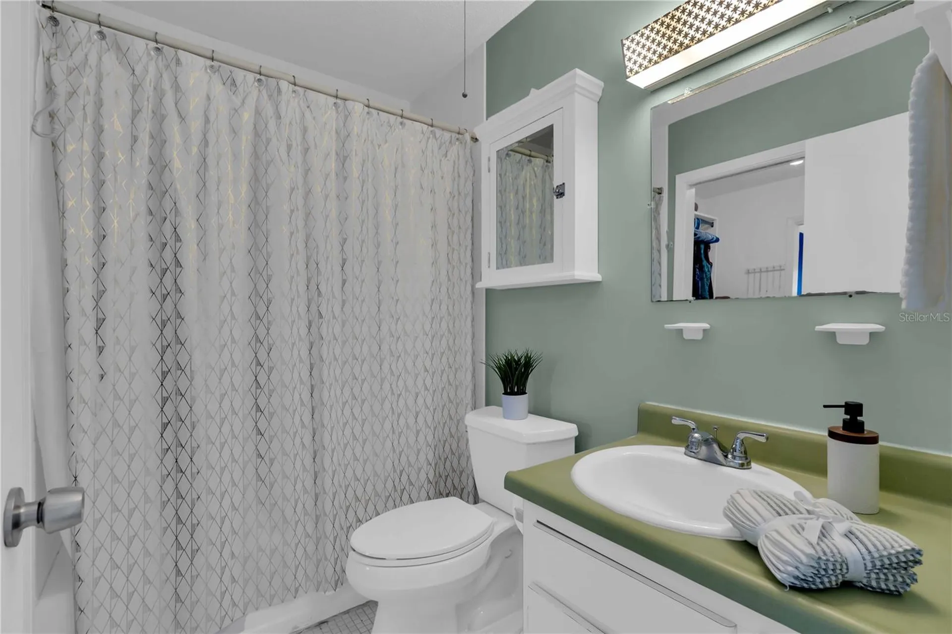 6927 Place De La Paix St Petersburg FL 33707