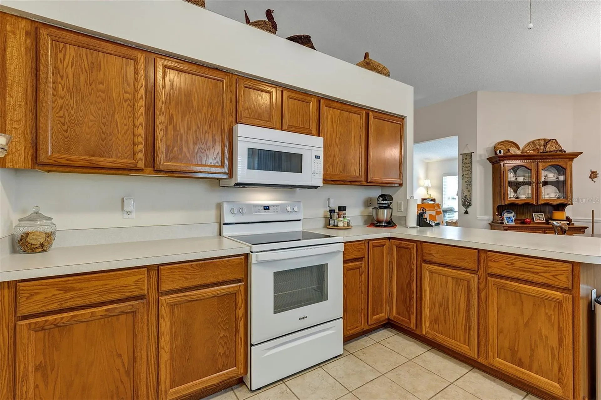26035 Oakmount Drive Leesburg FL 34748