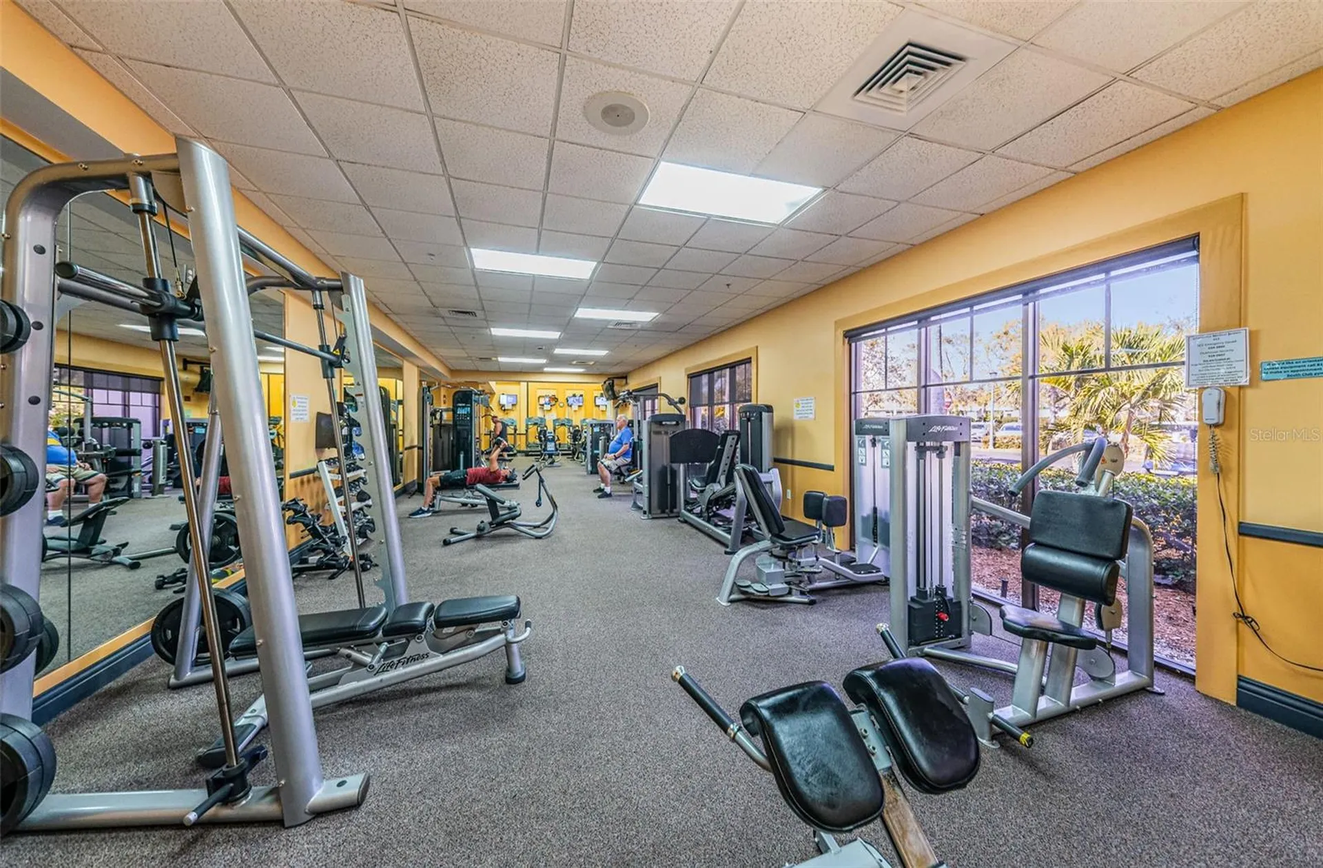 737 Mccallister Avenue Sun City Center FL 33573