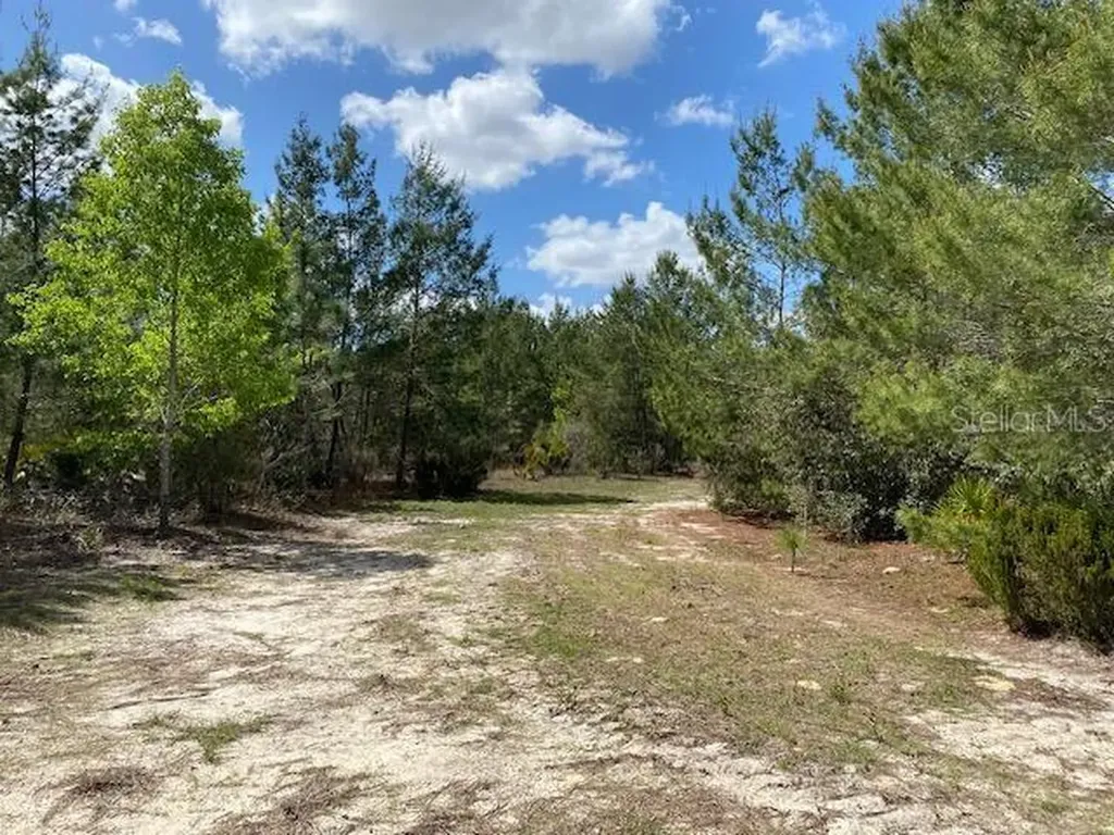 18055 SW 200 Street Archer FL 32618
