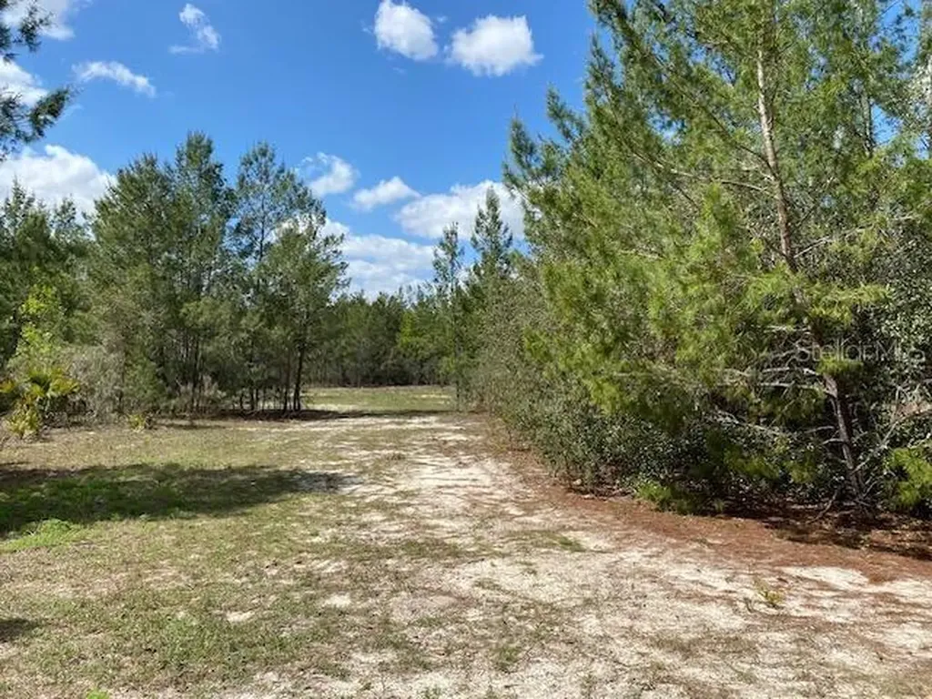 18055 SW 200 Street Archer FL 32618