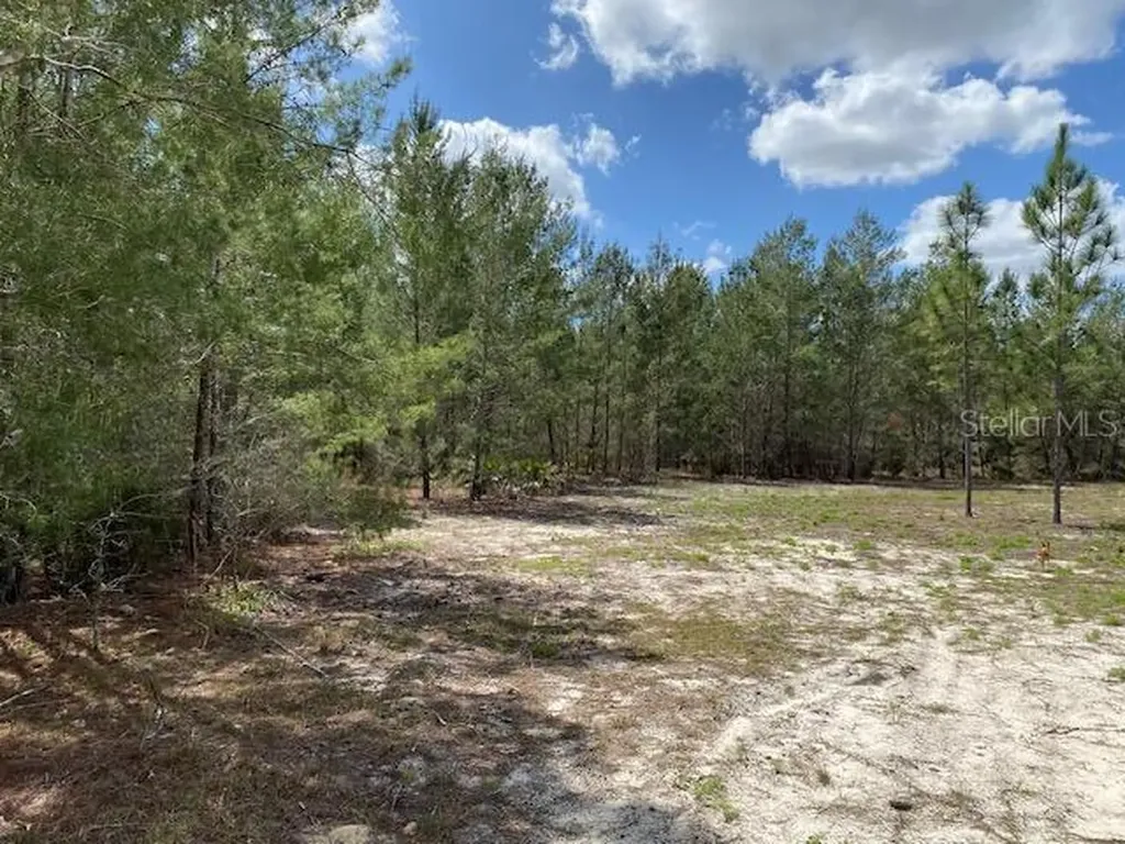 18055 SW 200 Street Archer FL 32618