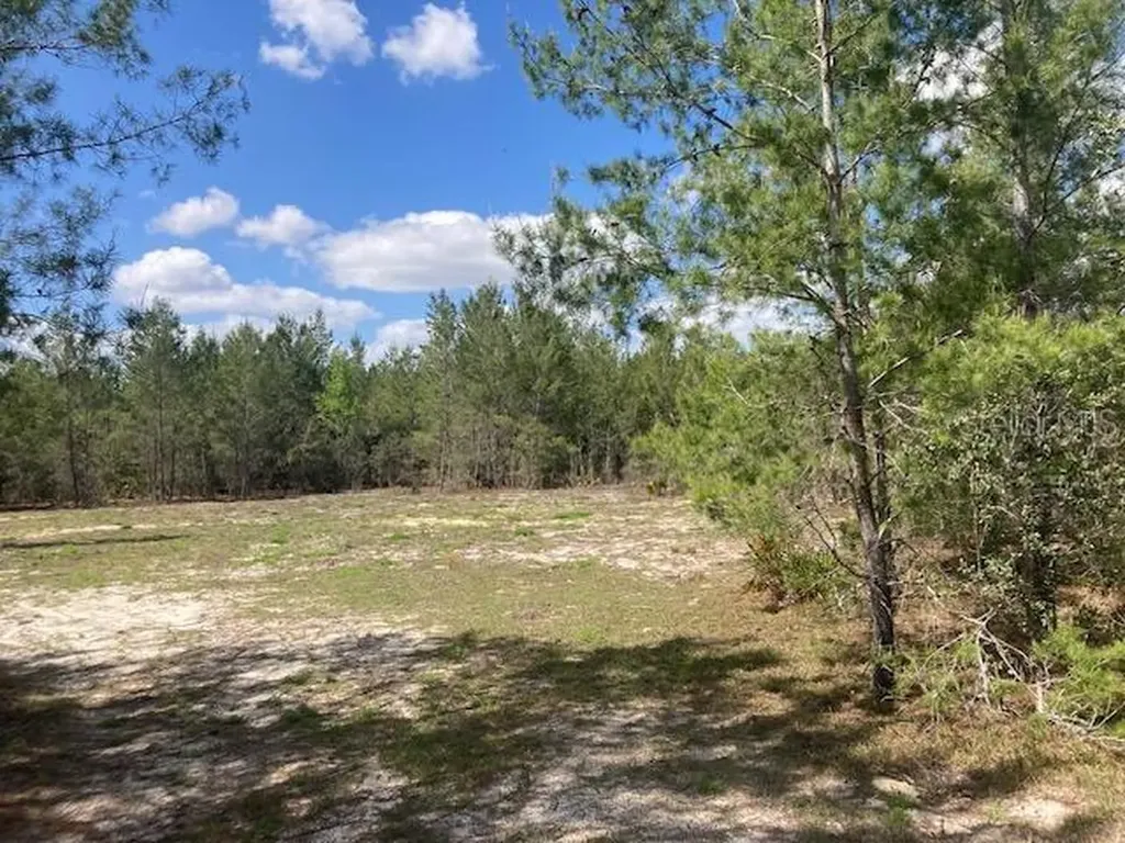 18055 SW 200 Street Archer FL 32618