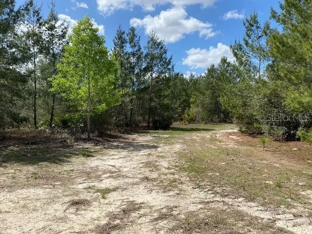 18055 SW 200 Street Archer FL 32618