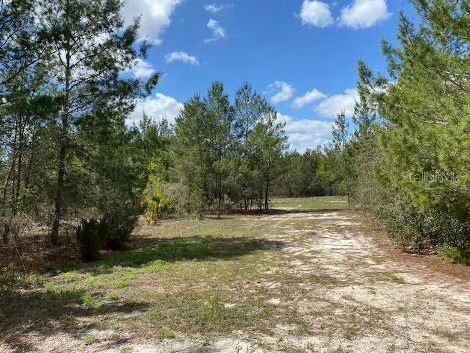 18055 SW 200 Street Archer FL 32618