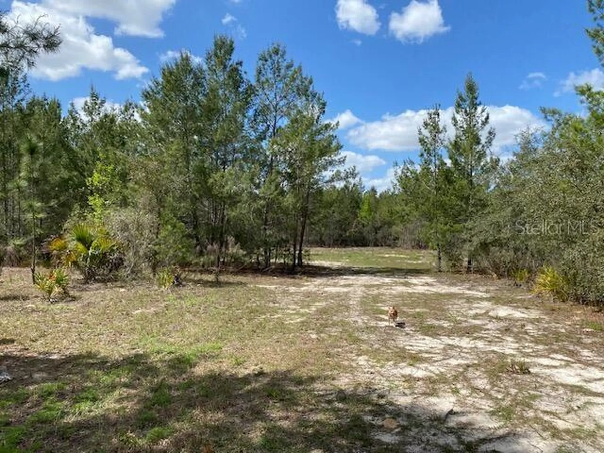 18055 SW 200 Street Archer FL 32618