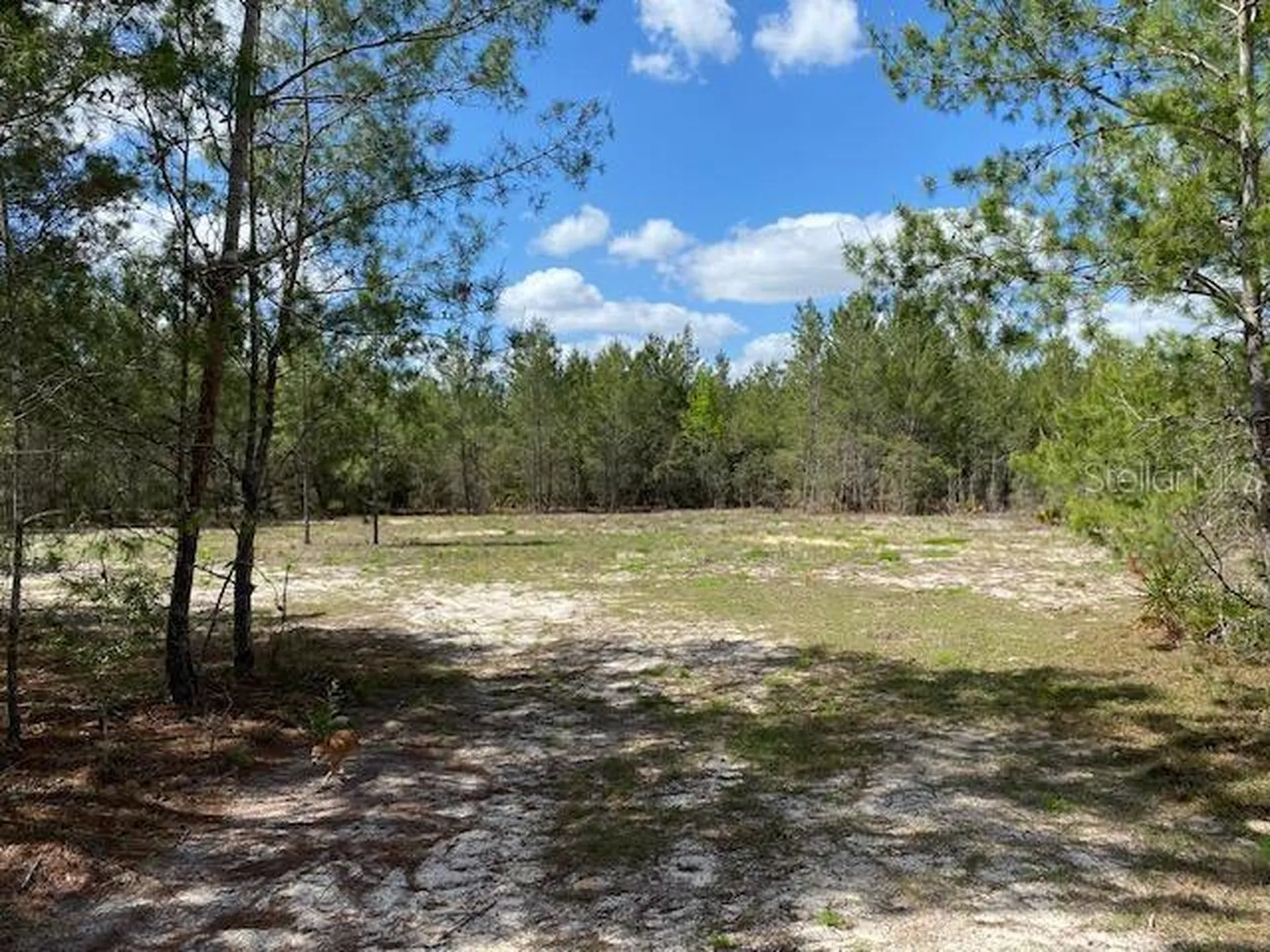 18055 SW 200 Street Archer FL 32618
