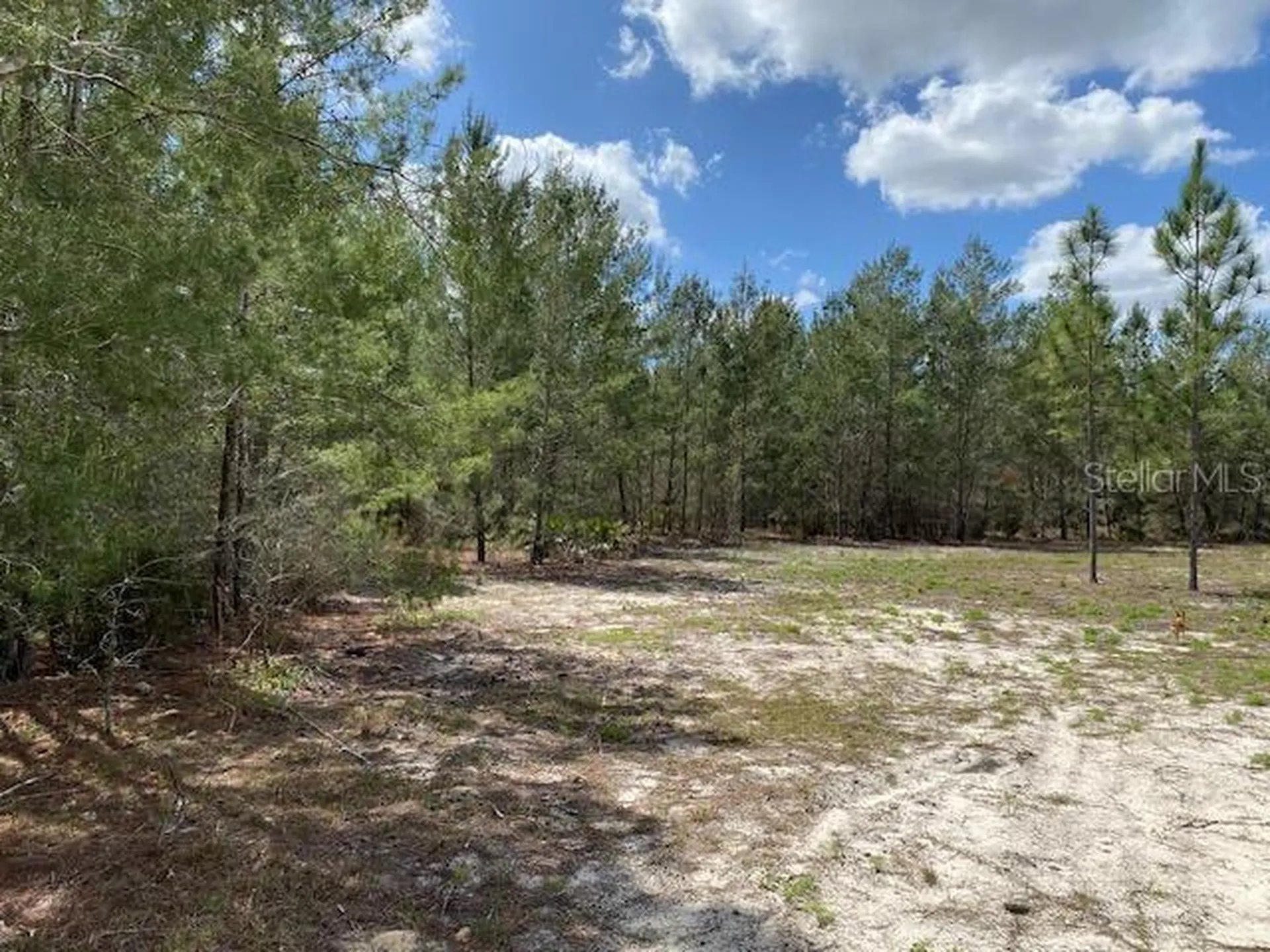 18055 SW 200 Street Archer FL 32618
