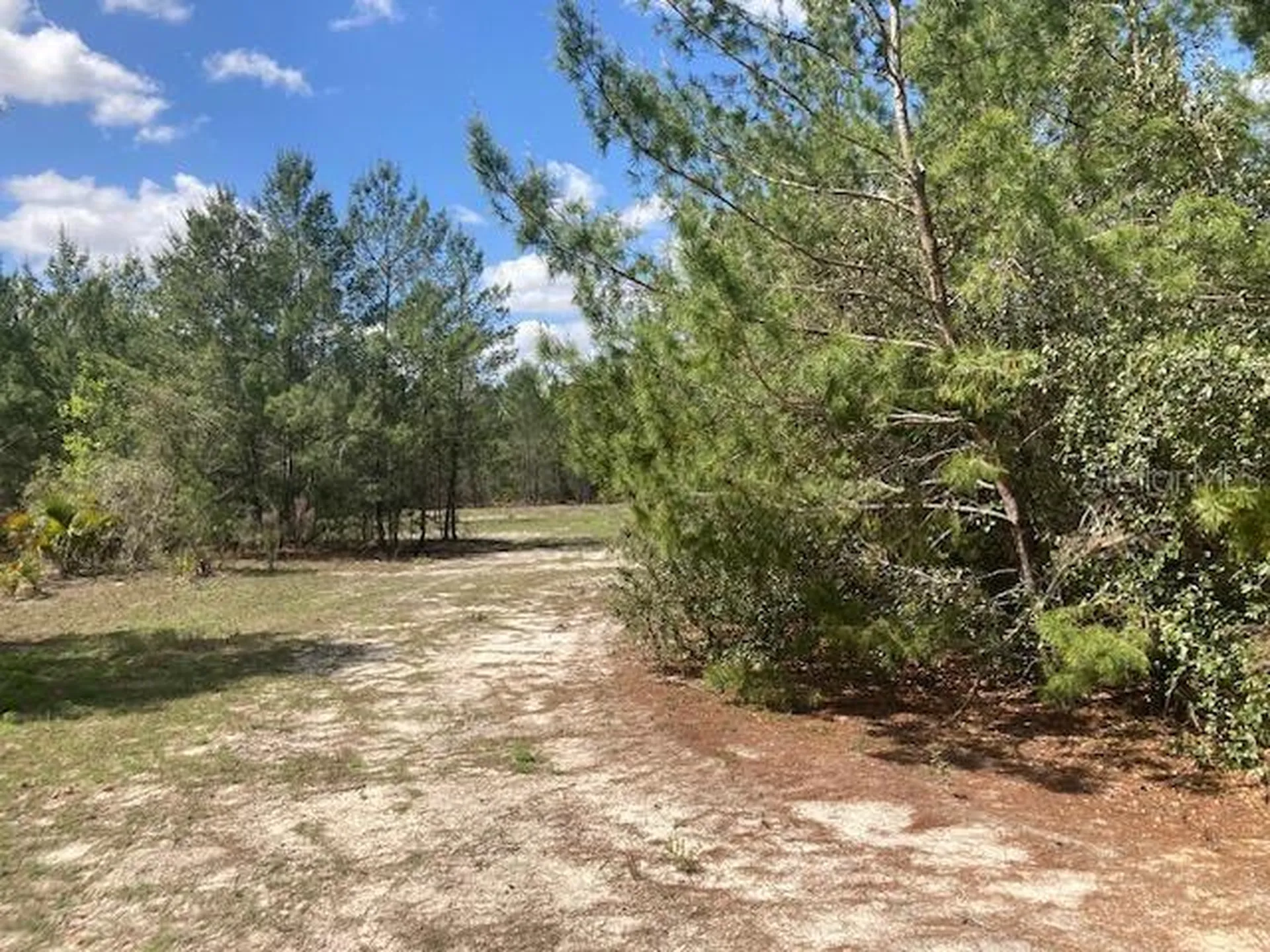 18055 SW 200 Street Archer FL 32618