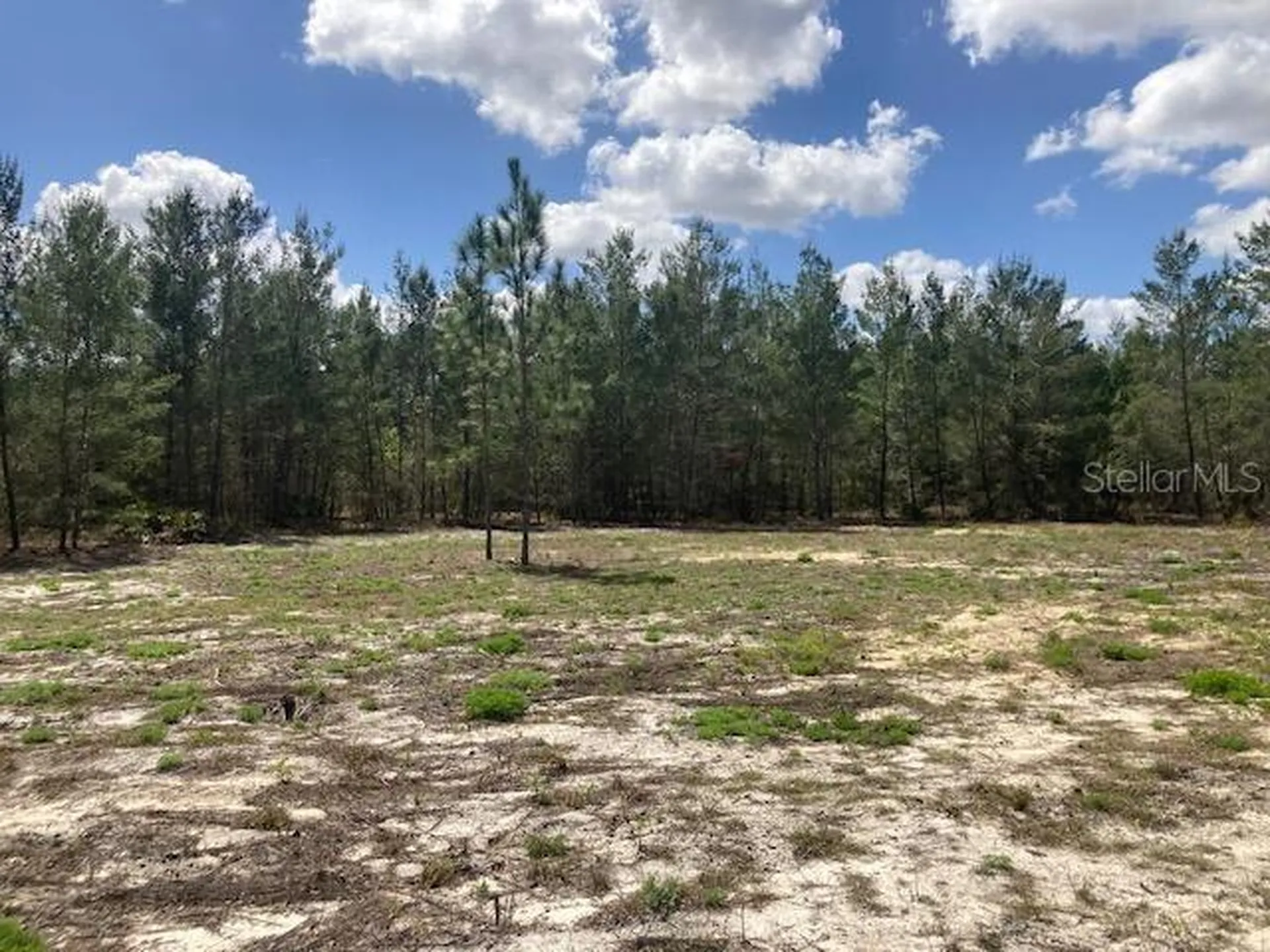 18055 SW 200 Street Archer FL 32618