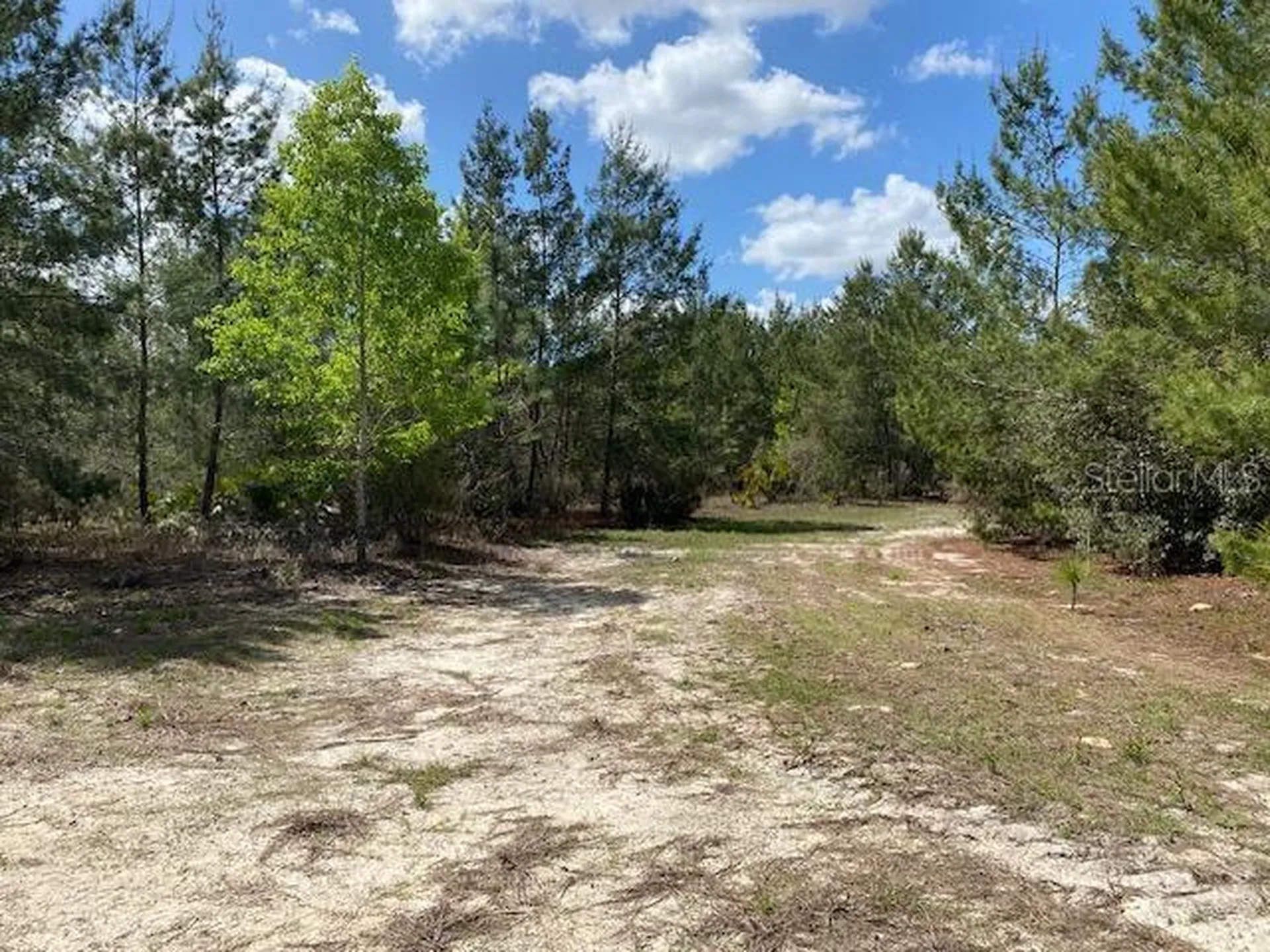 18055 SW 200 Street Archer FL 32618