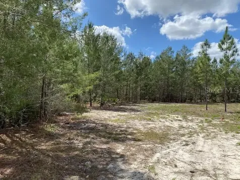 18055 SW 200 Street Archer FL 32618