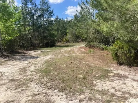 18055 SW 200 Street Archer FL 32618