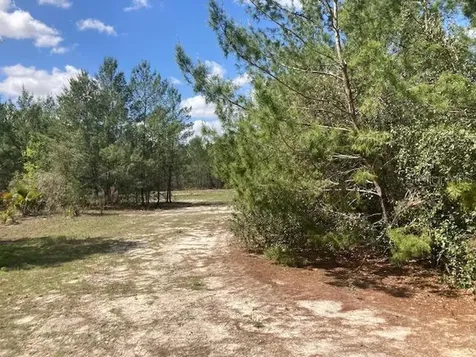18055 SW 200 Street Archer FL 32618