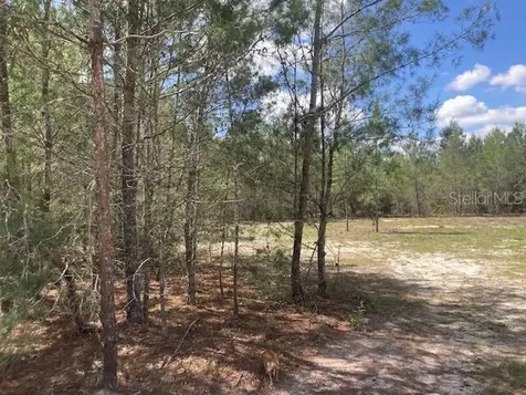 18055 SW 200 Street Archer FL 32618