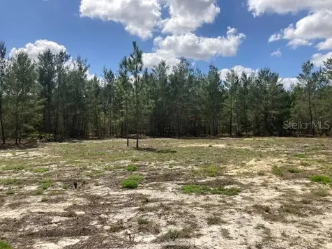 18055 SW 200 Street Archer FL 32618