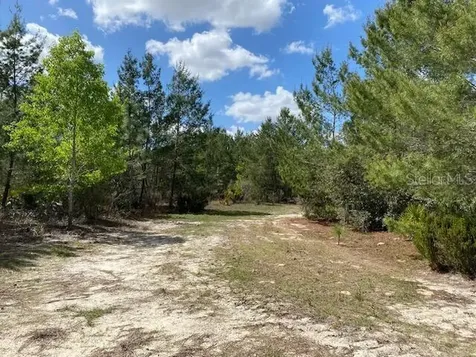 18055 SW 200 Street Archer FL 32618