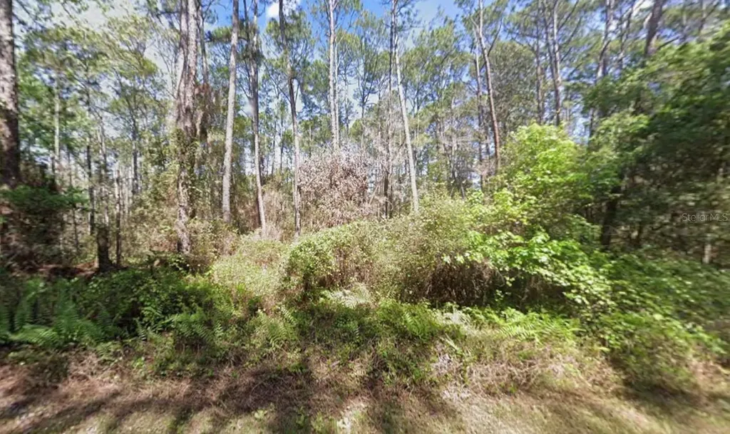 416 Palm Way Georgetown FL 32139