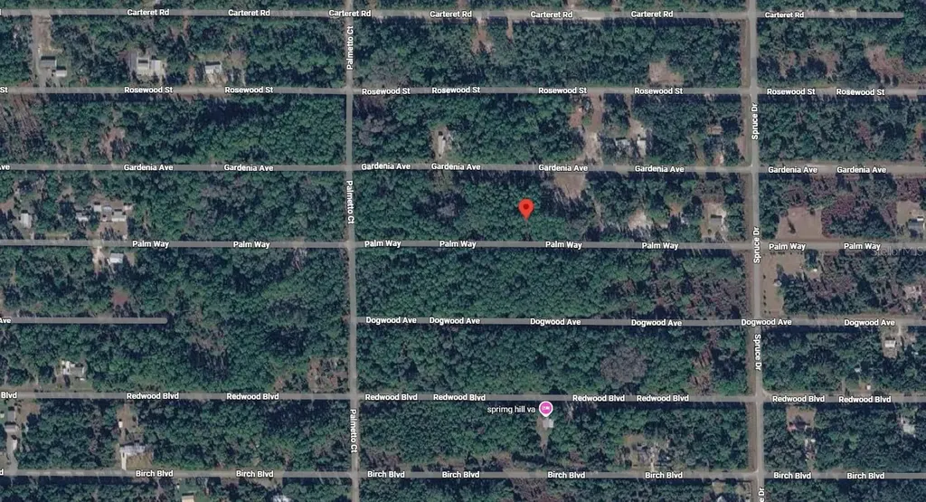 416 Palm Way Georgetown FL 32139
