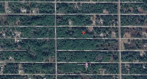 416 Palm Way Georgetown FL 32139
