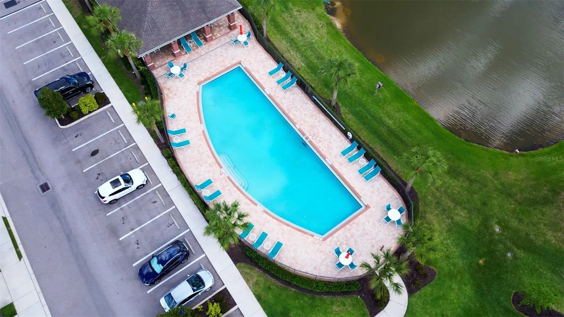 9204 Fox Sparrow Road Tampa FL 33626