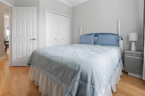 9204 Fox Sparrow Road Tampa FL 33626